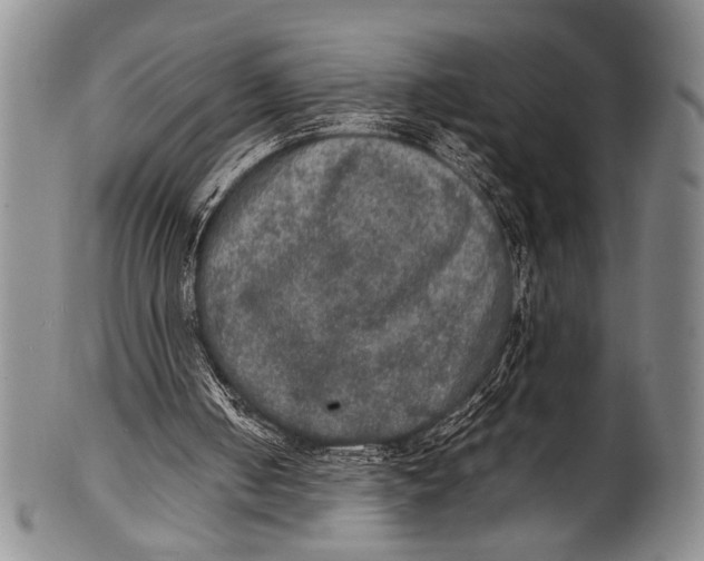 X0000100310050200806261212