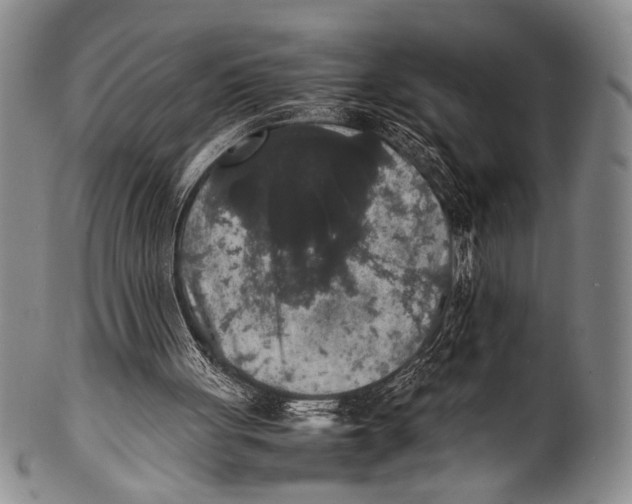 X0000100310051200806261212