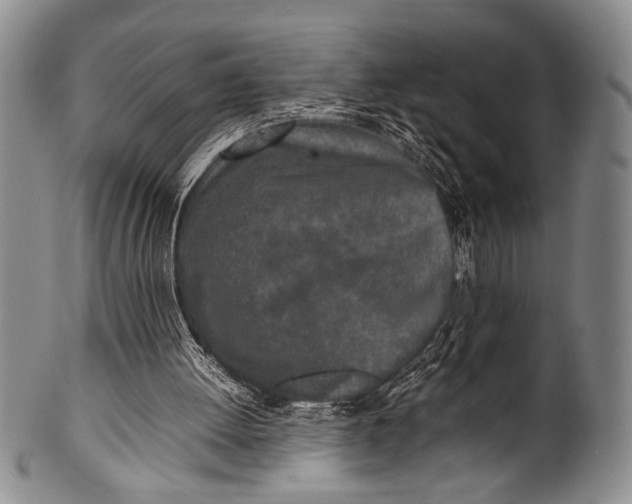 X0000100310052200806261212