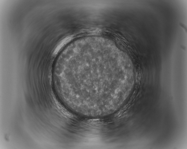 X0000100310054200806261212