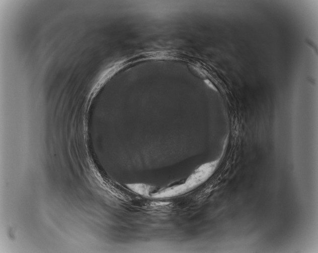 X0000100310055200806261212