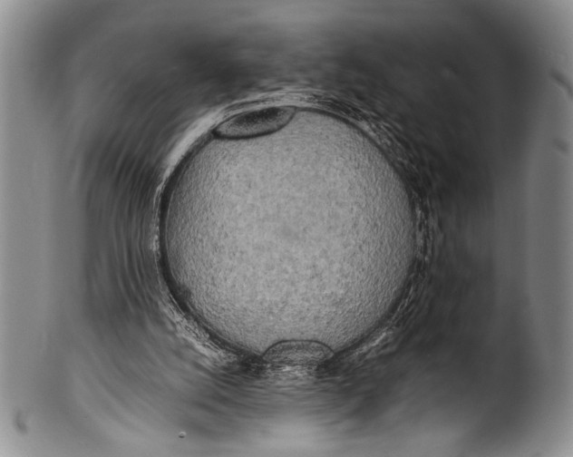 X0000100310056200806261212