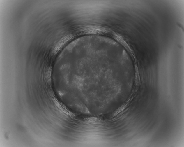 X0000100310058200806261212