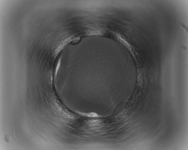 X0000100310059200806261212