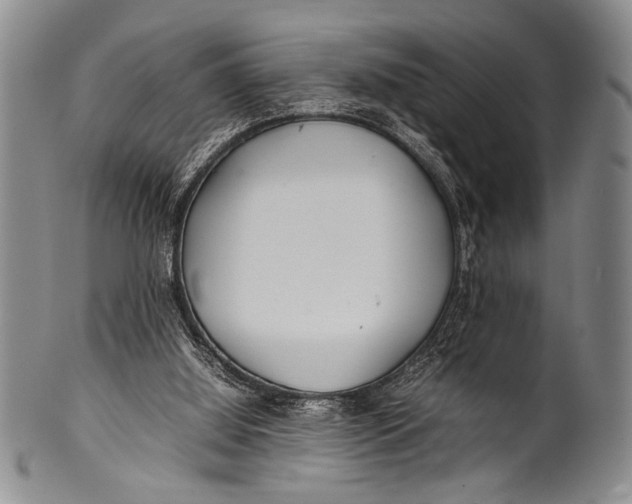 X0000100310060200806261212