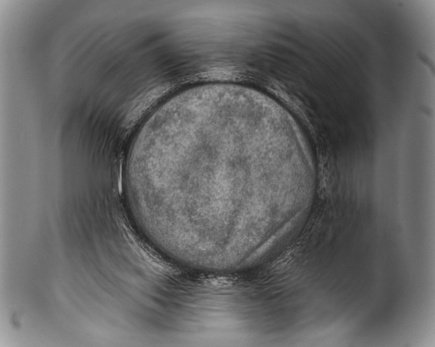 X0000100310062200806261212