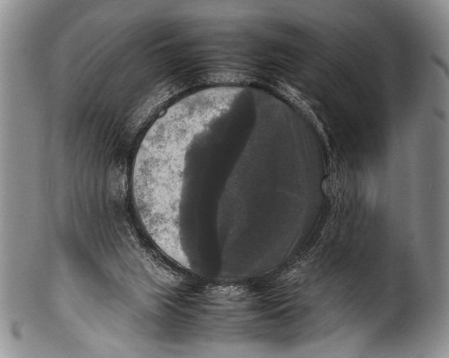 X0000100310063200806261212