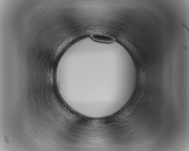 X0000100310064200806261212