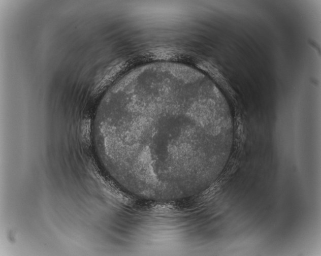 X0000100310066200806261212