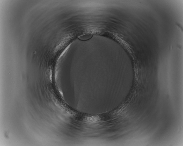 X0000100310067200806261212