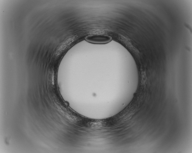 X0000100310068200806261212