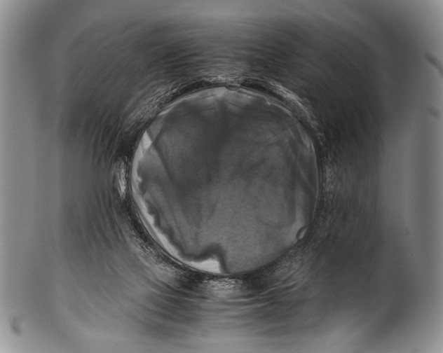 X0000100310069200806261212