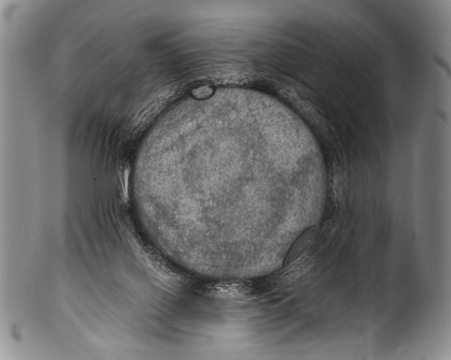 X0000100310070200806261212