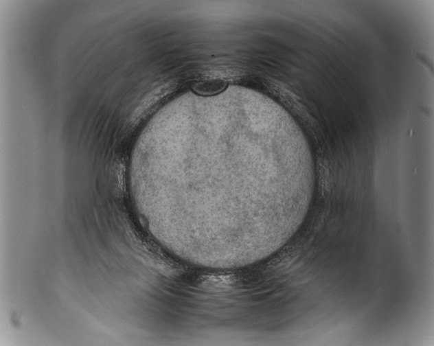 X0000100310071200806261212