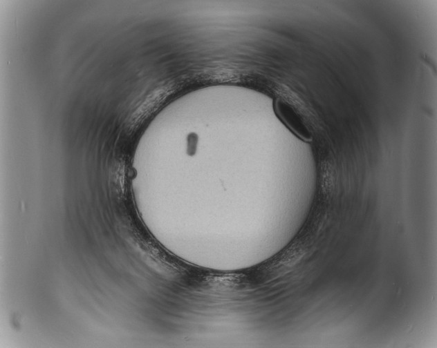 X0000100310072200806261212