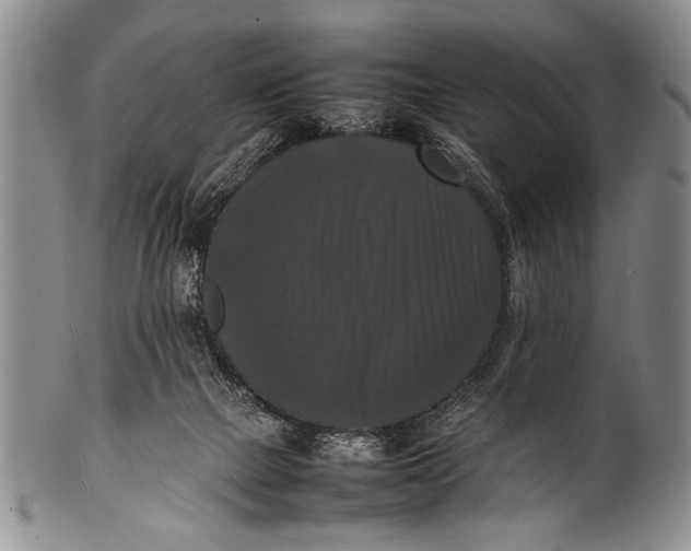 X0000100310073200806261212