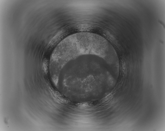 X0000100310074200806261212