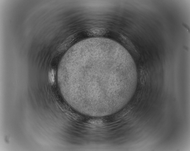 X0000100310075200806261212