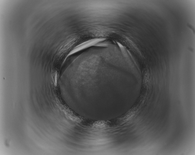 X0000100310076200806261212