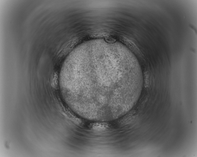 X0000100310077200806261212