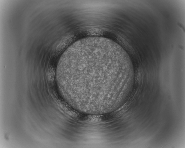 X0000100310078200806261212