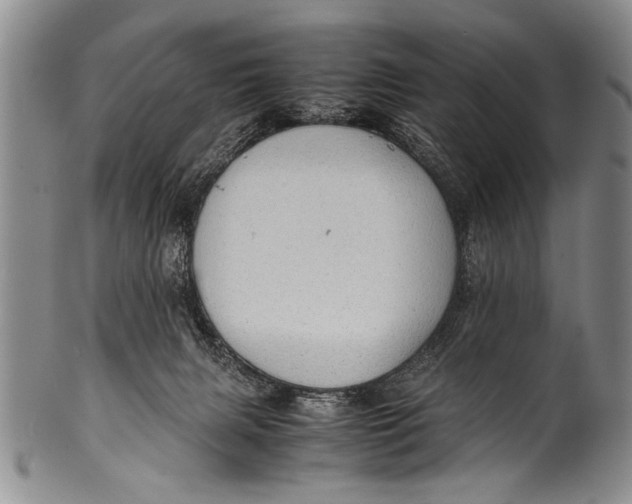 X0000100310079200806261212