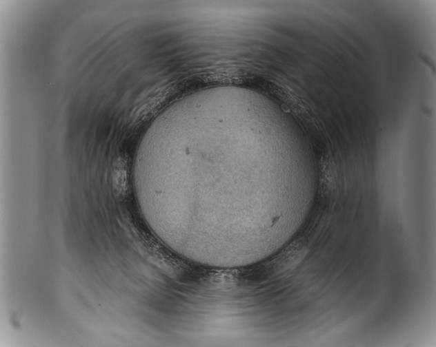 X0000100310080200806261212