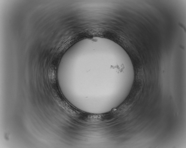 X0000100310084200806261212