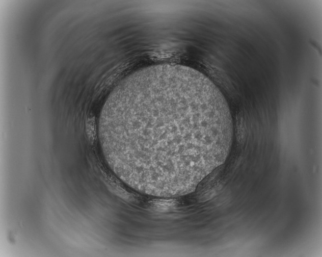 X0000100310085200806261212