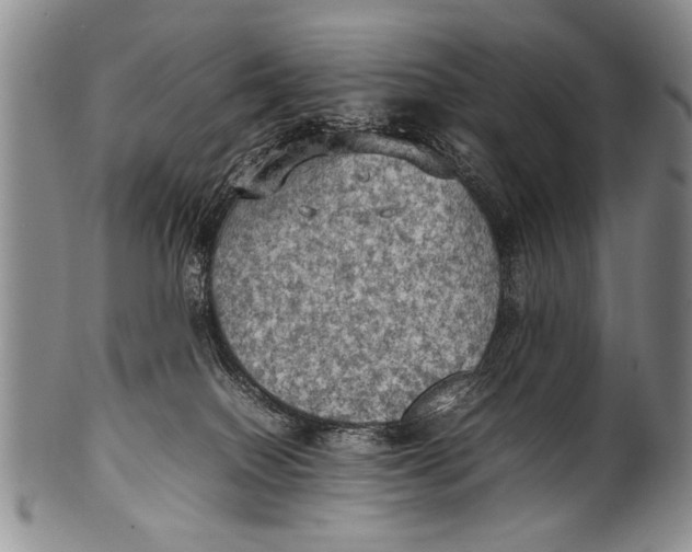 X0000100310086200806261212