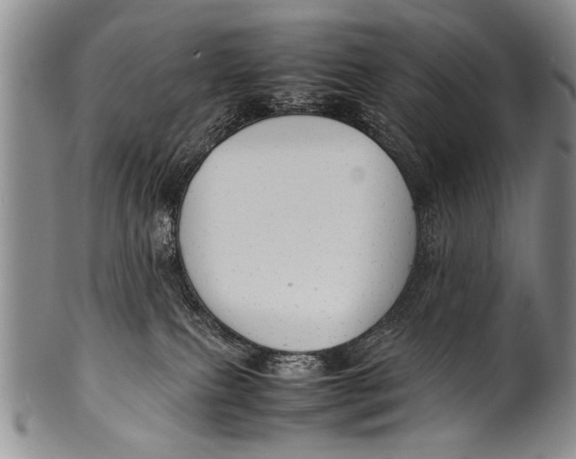 X0000100310087200806261212