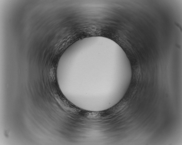 X0000100310088200806261212