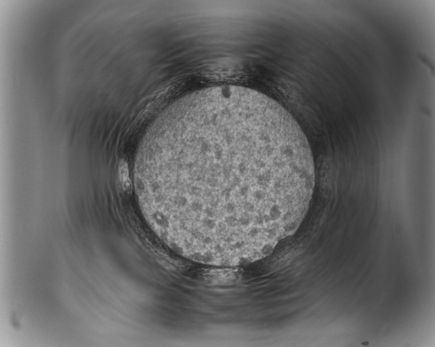 X0000100310089200806261212