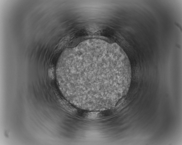 X0000100310090200806261212