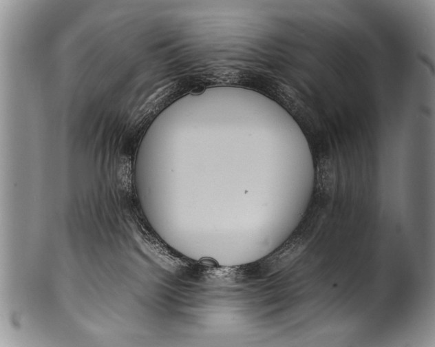 X0000100310092200806261212