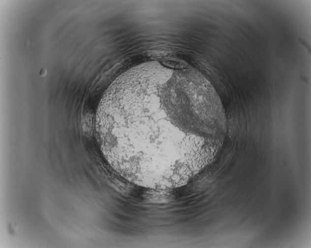 X0000100310093200806261212