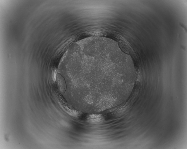 X0000100310095200806261212