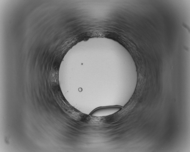 X0000100310096200806261213