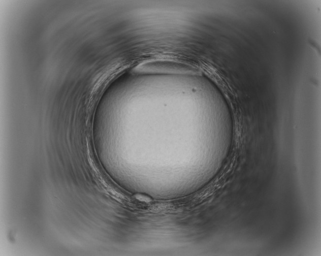 X0000100310097200806261212