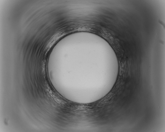 X0000100310098200806261212