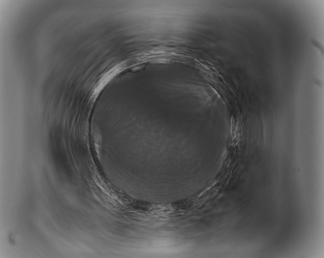 X0000100310099200806261212