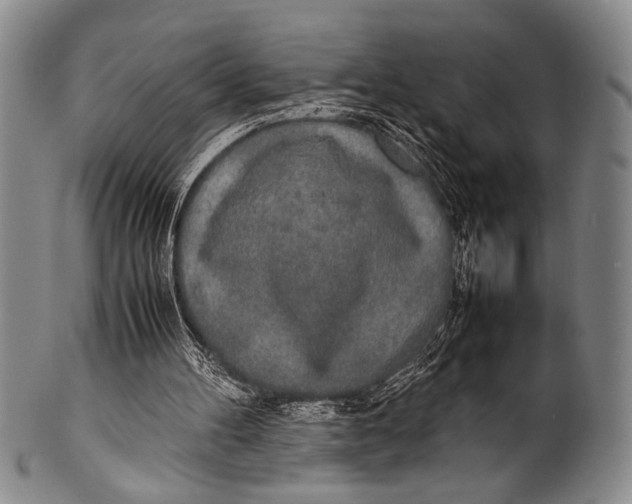 X0000100310100200806261212