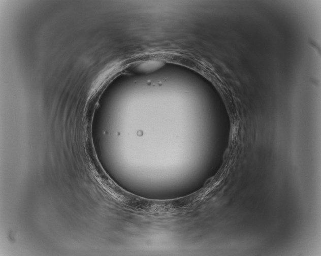 X0000100310101200806261212