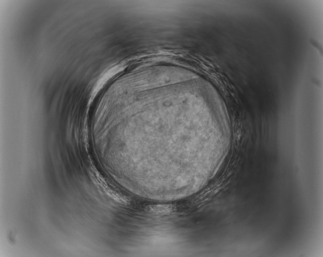 X0000100310102200806261212