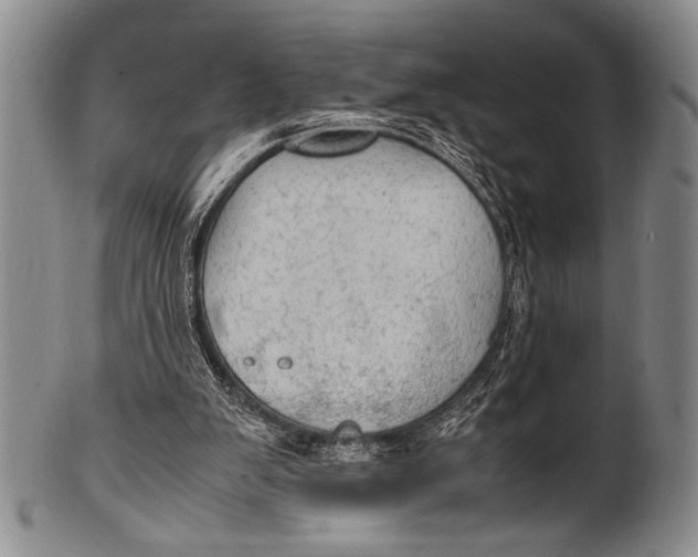 X0000100310103200806261212