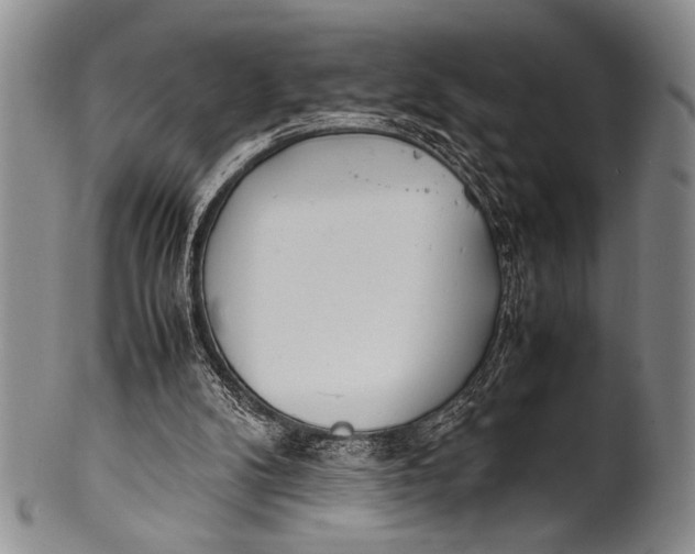 X0000100310104200806261211