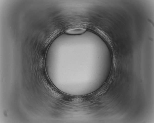 X0000100310105200806261211