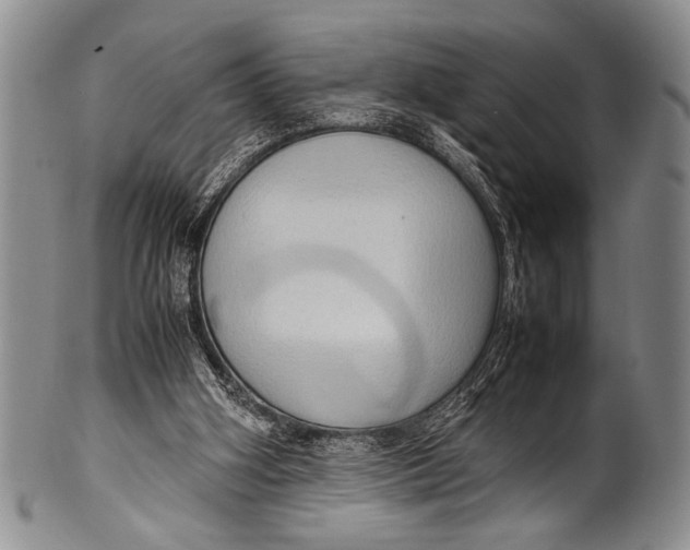 X0000100310106200806261211