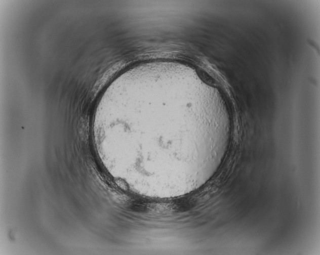 X0000100310107200806261211