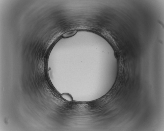 X0000100310108200806261211